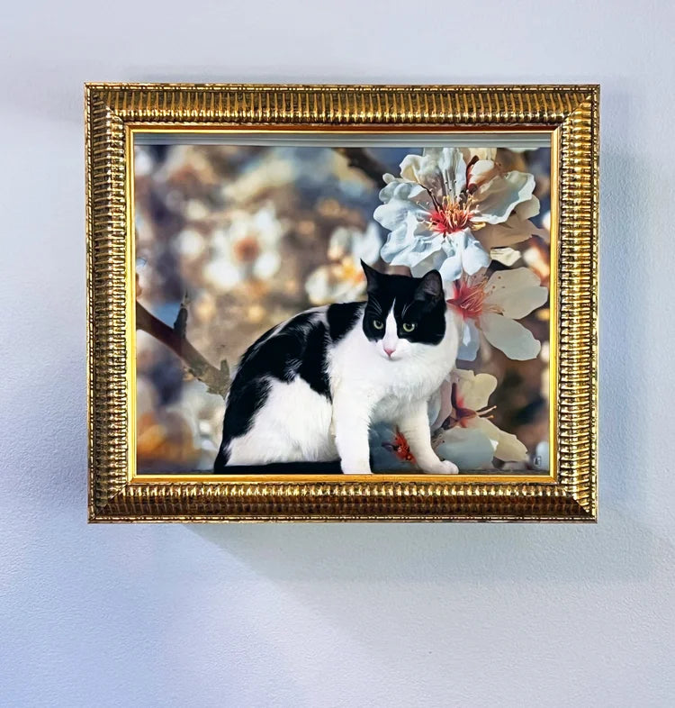 🖼️ Gallery-Style Cat Frame – Turn Your Cat into Art 😺