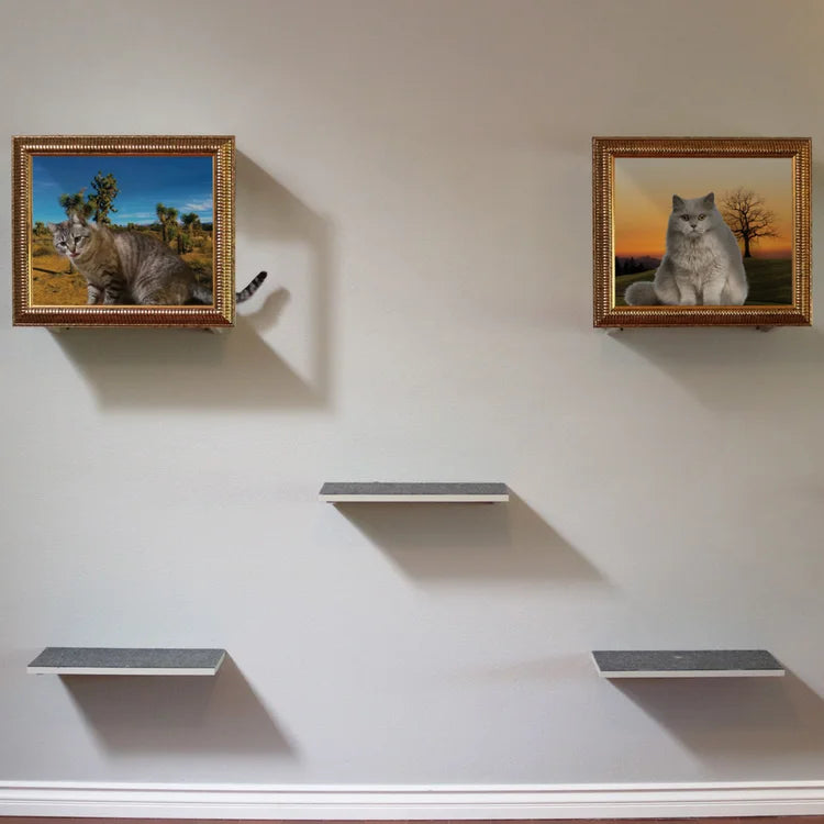 🖼️ Gallery-Style Cat Frame – Turn Your Cat into Art 😺