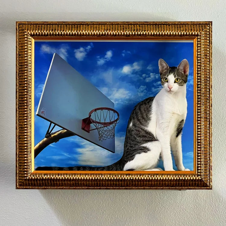 🖼️ Gallery-Style Cat Frame – Turn Your Cat into Art 😺