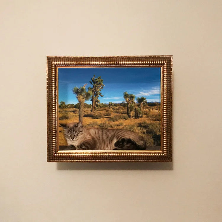 🖼️ Gallery-Style Cat Frame – Turn Your Cat into Art 😺