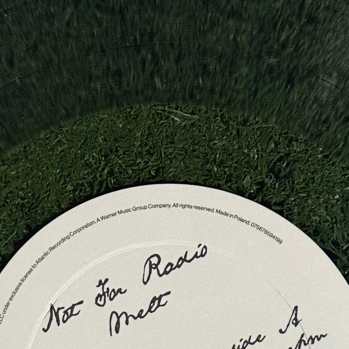 🍃Moss Vinyl — Limited Art Edition