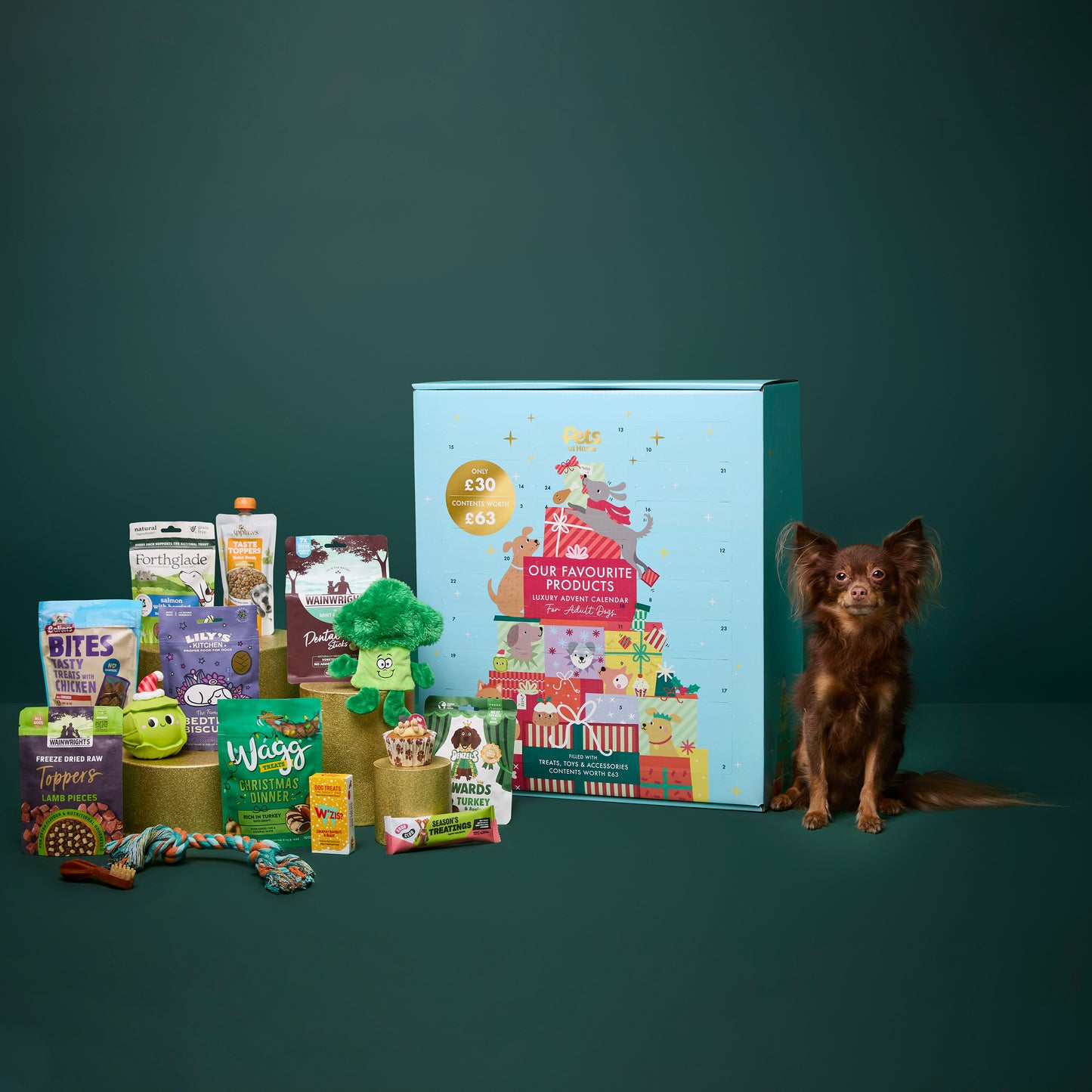 Pet Home Christmas Advent Calendar