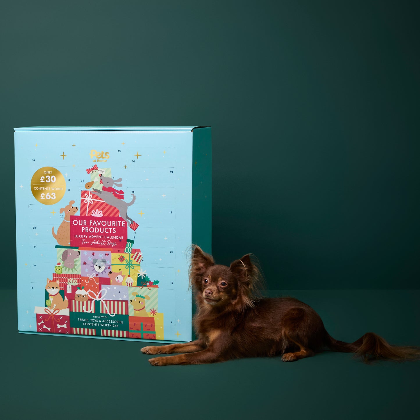 Pet Home Christmas Advent Calendar