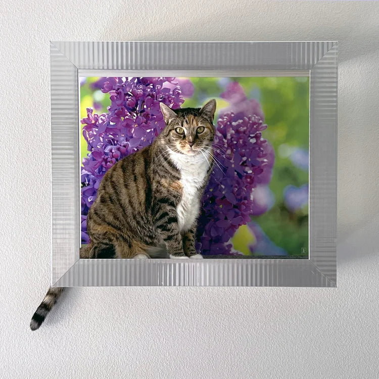 🖼️ Gallery-Style Cat Frame – Turn Your Cat into Art 😺