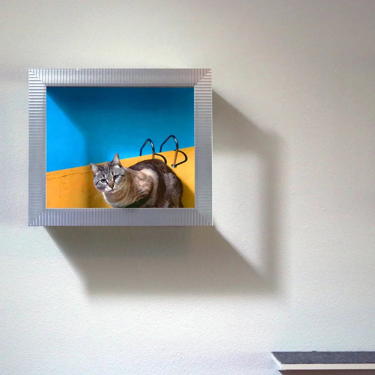 🖼️ Gallery-Style Cat Frame – Turn Your Cat into Art 😺