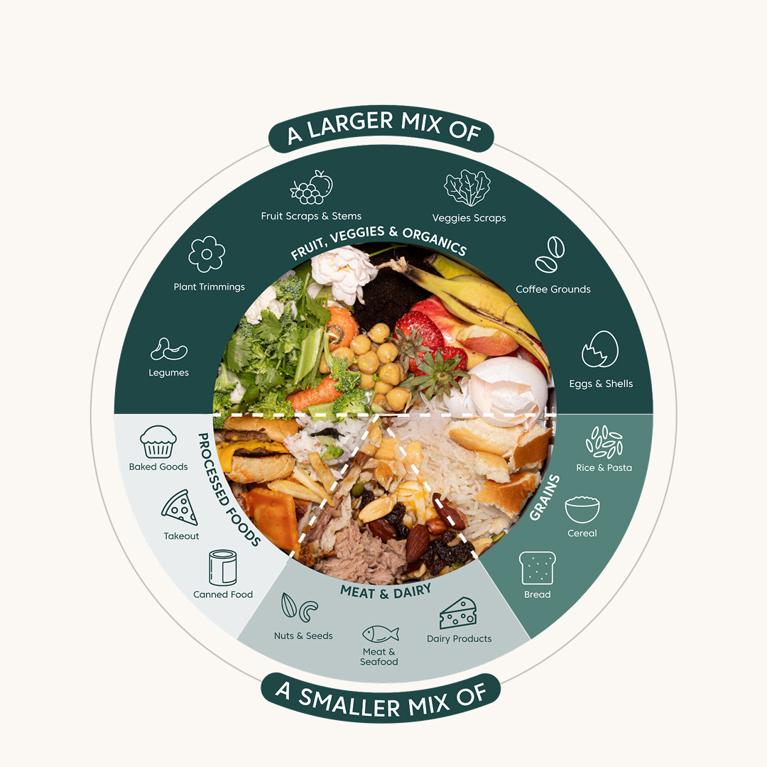 Odor-Free Food Waste Composter—Fast, Clean, and Eco-Friendly