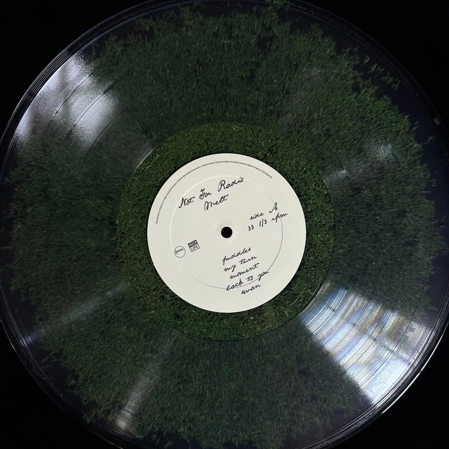 🍃Moss Vinyl — Limited Art Edition