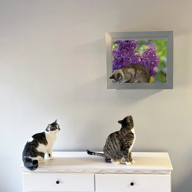 🖼️ Gallery-Style Cat Frame – Turn Your Cat into Art 😺