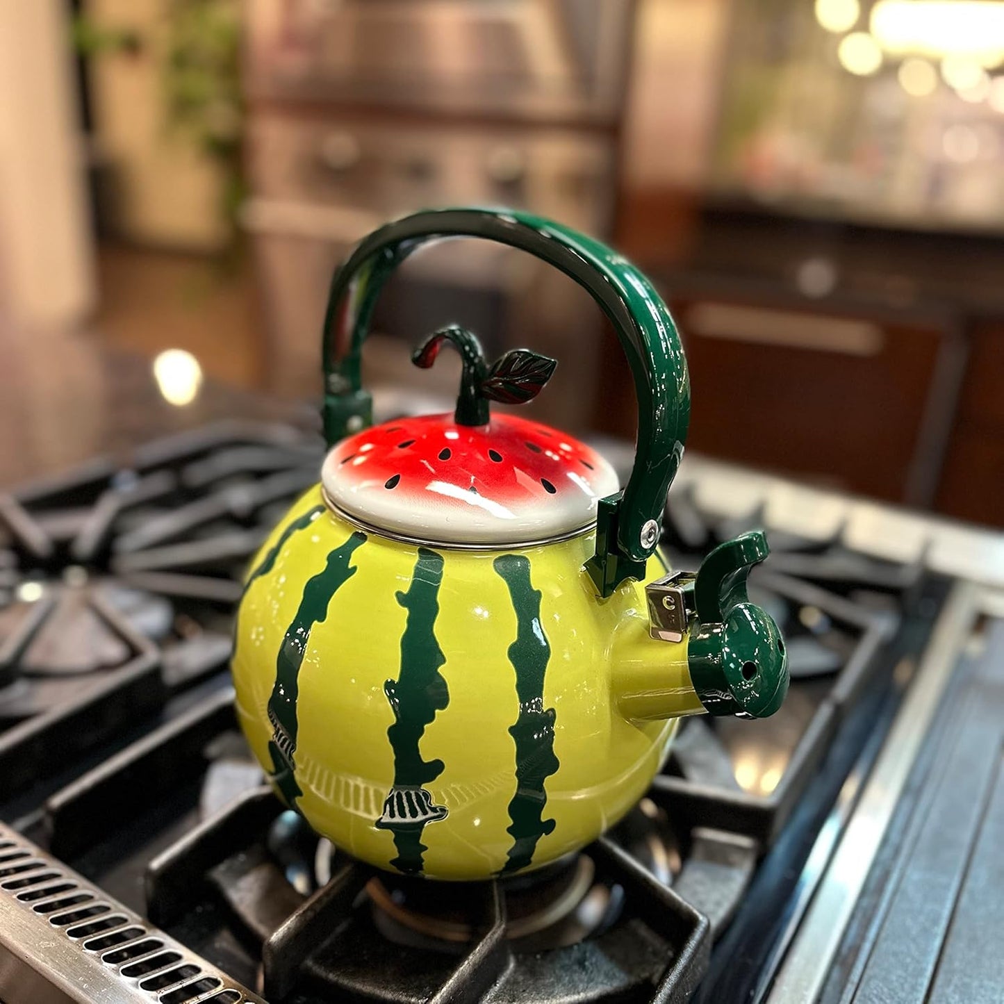 Whistling Tea Kettle – Enamel-Coated Stovetop Kettle